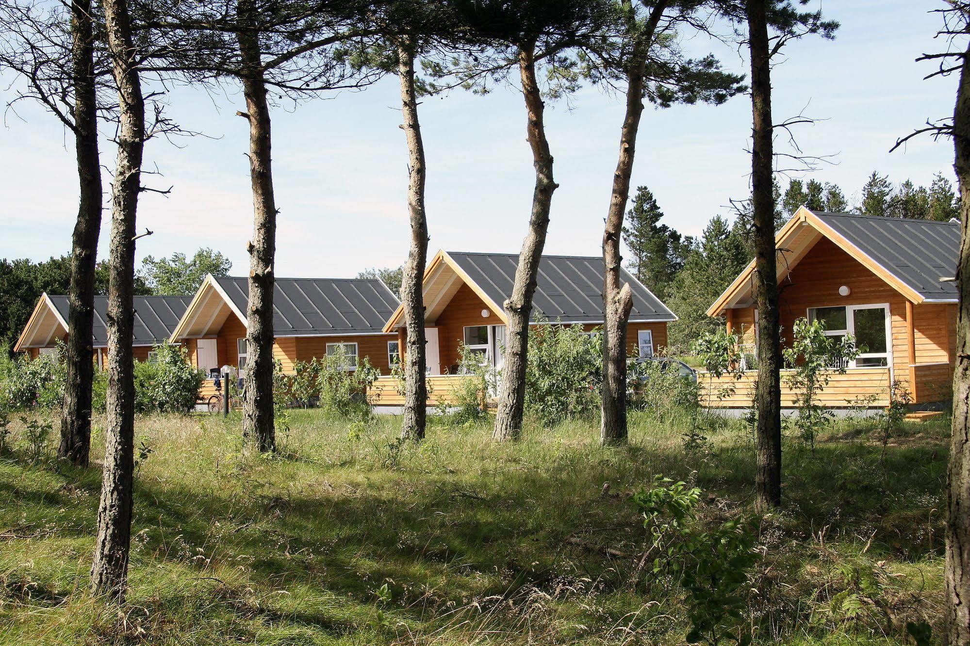 First Camp Rabjerg Mile - Skagen Hotel Exterior photo